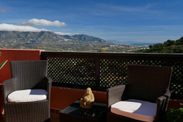 los vinedos la mairena